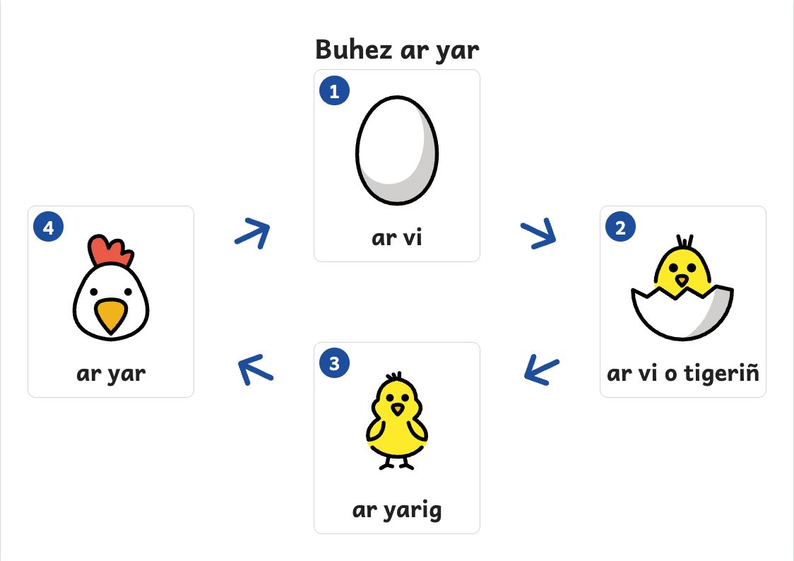 Rakwel, pajenn 1 : Skritell kelc’h buhez ar yar : vi, yarig, yar