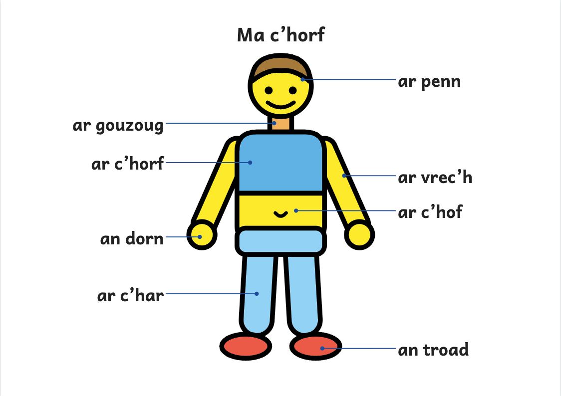 Rakwel, pajenn 1 : Skritell korf an den : ar penn, ar gouzoug, ar c’horf, ar c’hof, ar brec’hioù, ar c’har