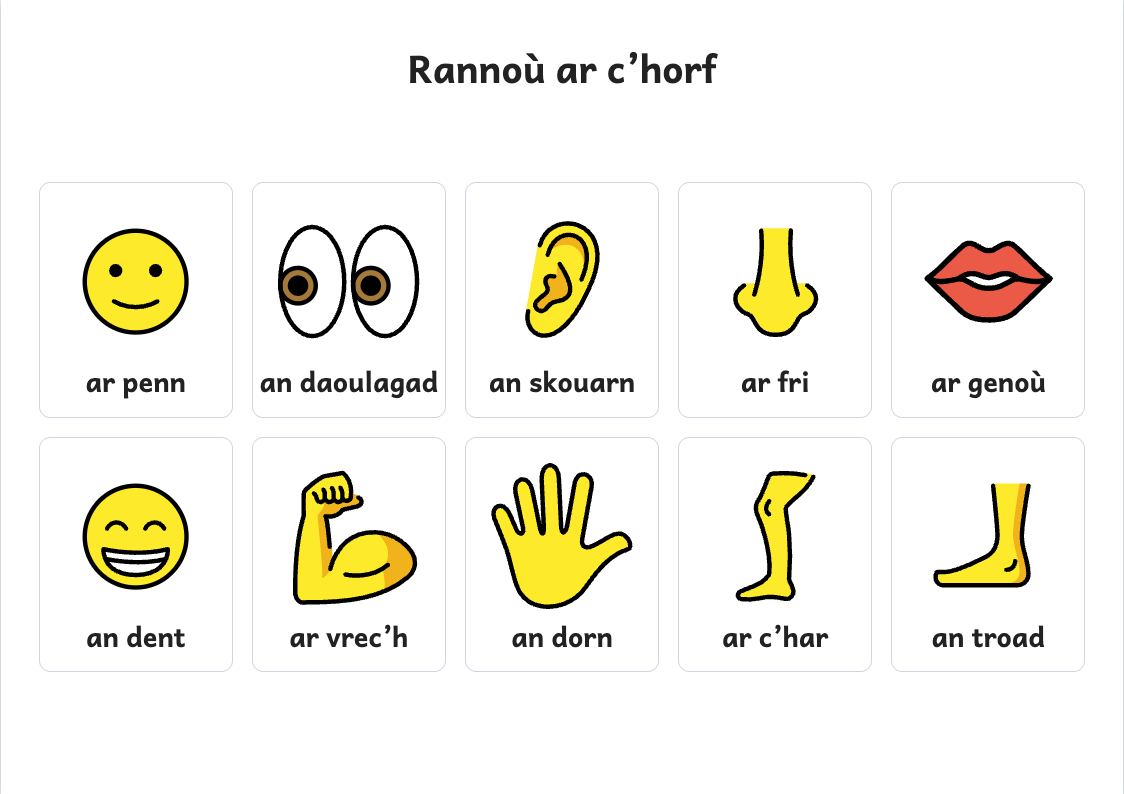 Rakwel, pajenn 1 : Skritell rannoù ar c’horf : penn, daoulagad, fri, genoù…