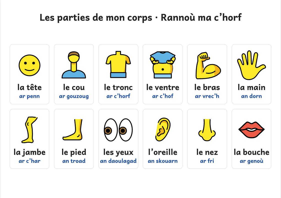 Aperçu, page 1 : Affiche des parties du corps : la tête, le cou, le tronc, le ventre, les bras, les jambes…