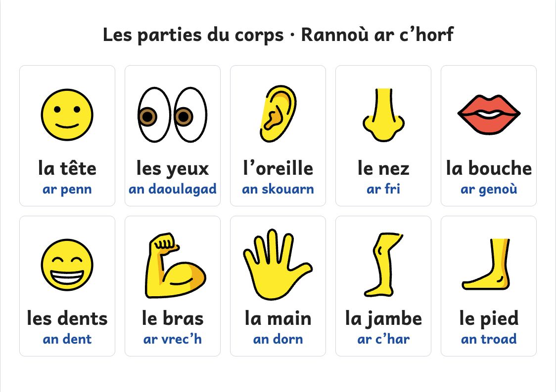 Aperçu, page 1 : Affiche des parties du corps : tête, yeux, nez, bouche…