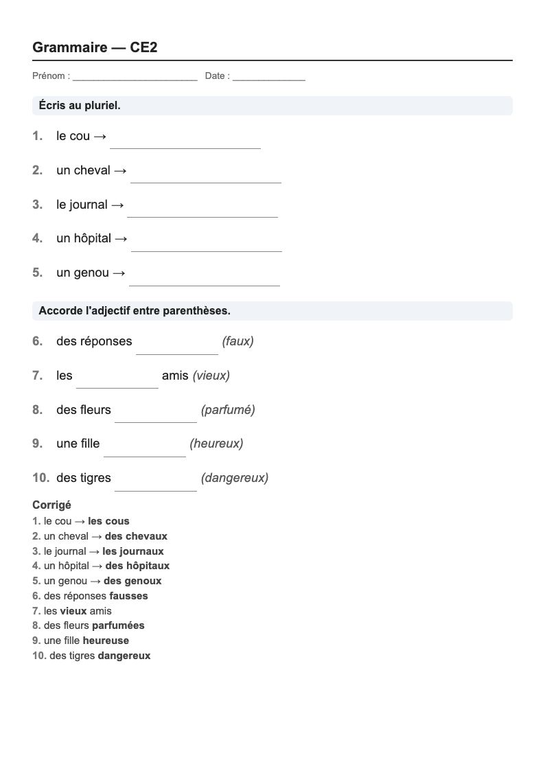 Grammaire — CE2 : genre, nombre et accords, fiches d'exercices à imprimer (consignes en breton)
