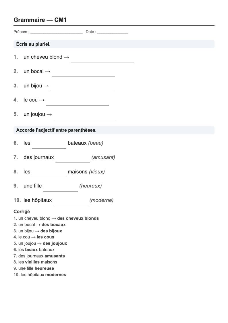 Grammaire — CM1 : genre, nombre et accords, fiches d'exercices à imprimer (consignes en breton)