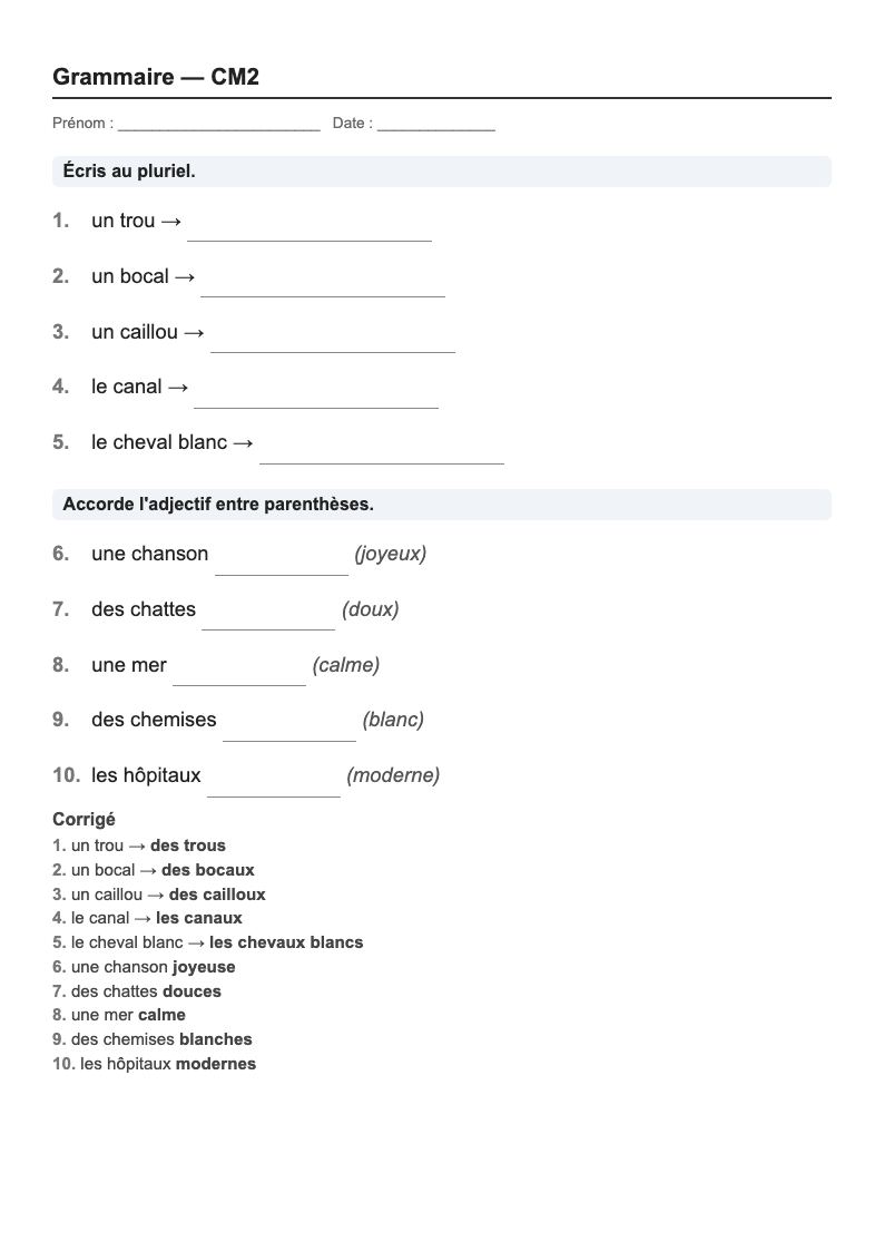 Grammaire — CM2 : genre, nombre et accords, fiches d'exercices à imprimer (consignes en breton)